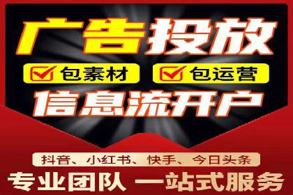 企业SEM服务实战案例解析